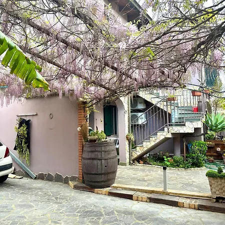 Il Cortiletto * 아세미니